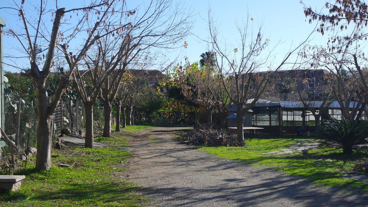 منزل الضيف سانت أوْفيمِيا لاميتْسْيا  في Agriturismo Masseria I Risi المظهر الخارجي الصورة