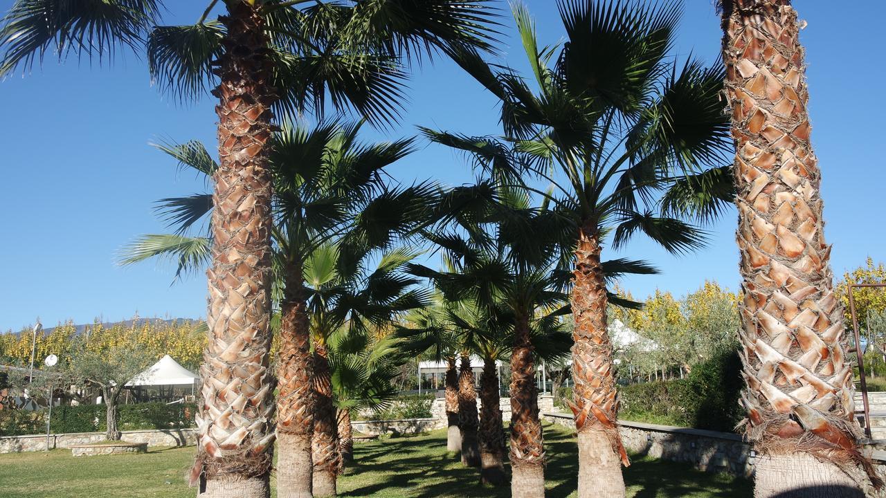 منزل الضيف سانت أوْفيمِيا لاميتْسْيا  في Agriturismo Masseria I Risi المظهر الخارجي الصورة