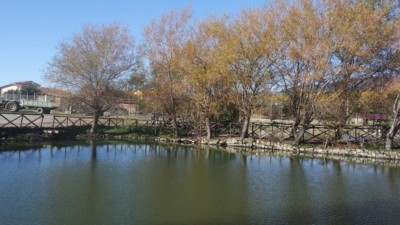منزل الضيف سانت أوْفيمِيا لاميتْسْيا  في Agriturismo Masseria I Risi المظهر الخارجي الصورة