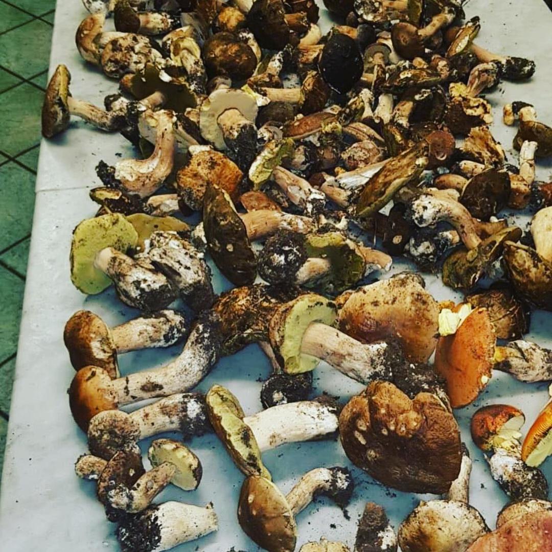 منزل الضيف سانت أوْفيمِيا لاميتْسْيا  في Agriturismo Masseria I Risi المظهر الخارجي الصورة