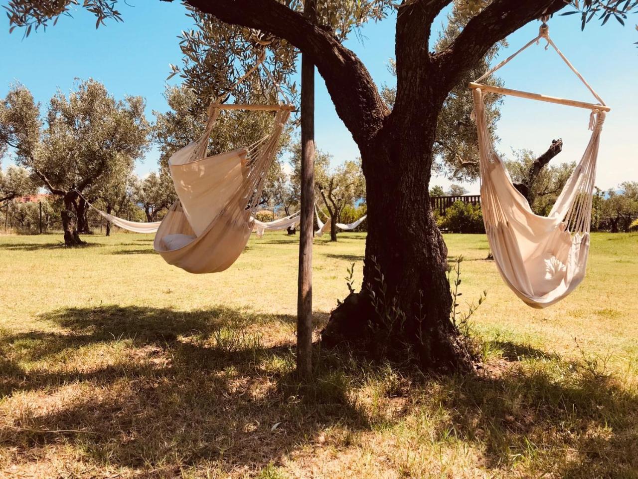 منزل الضيف سانت أوْفيمِيا لاميتْسْيا  في Agriturismo Masseria I Risi المظهر الخارجي الصورة