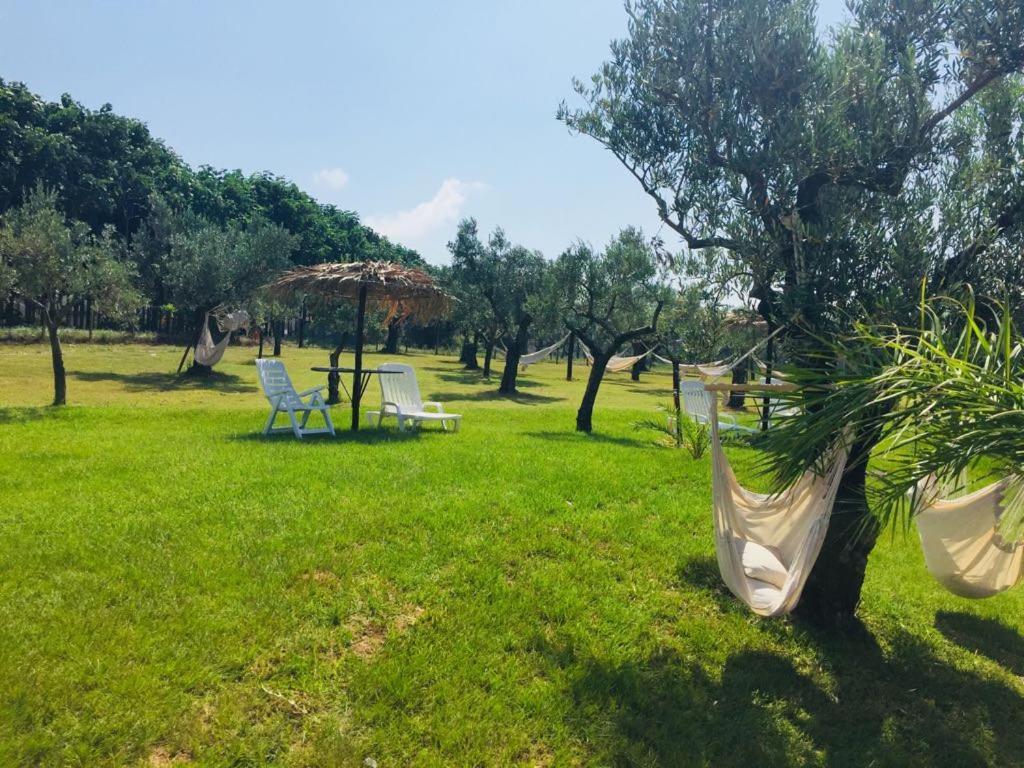 منزل الضيف سانت أوْفيمِيا لاميتْسْيا  في Agriturismo Masseria I Risi المظهر الخارجي الصورة